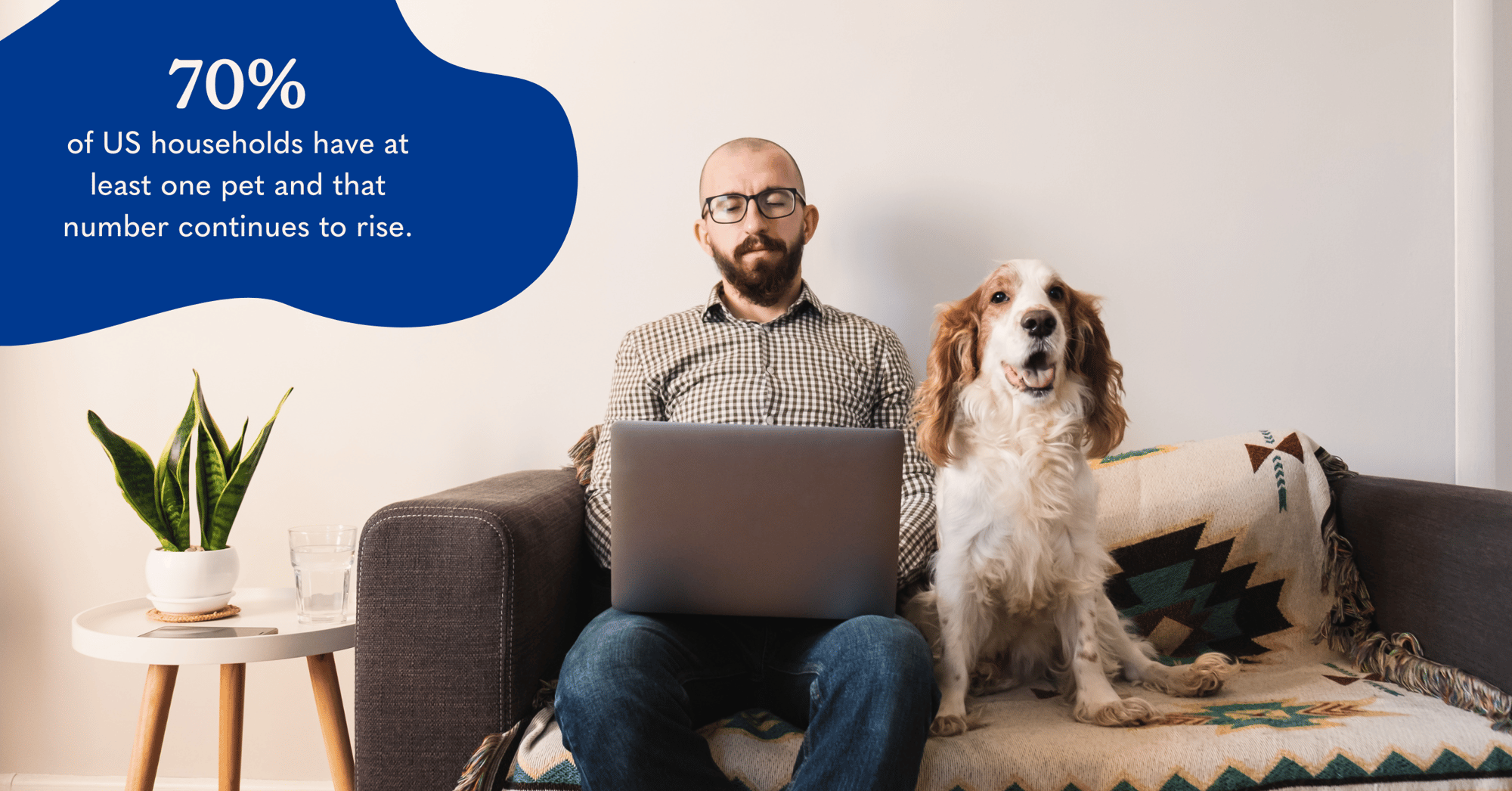 Airvet: Pet care and employee engagement