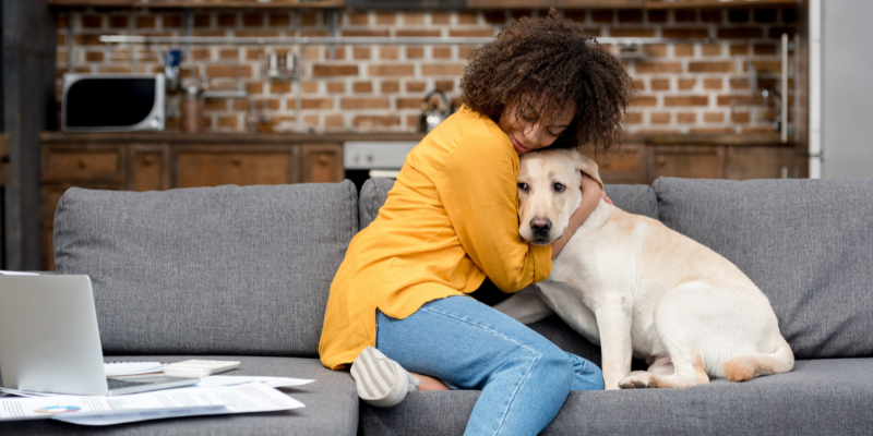 Pet care and employee productivity & engagement